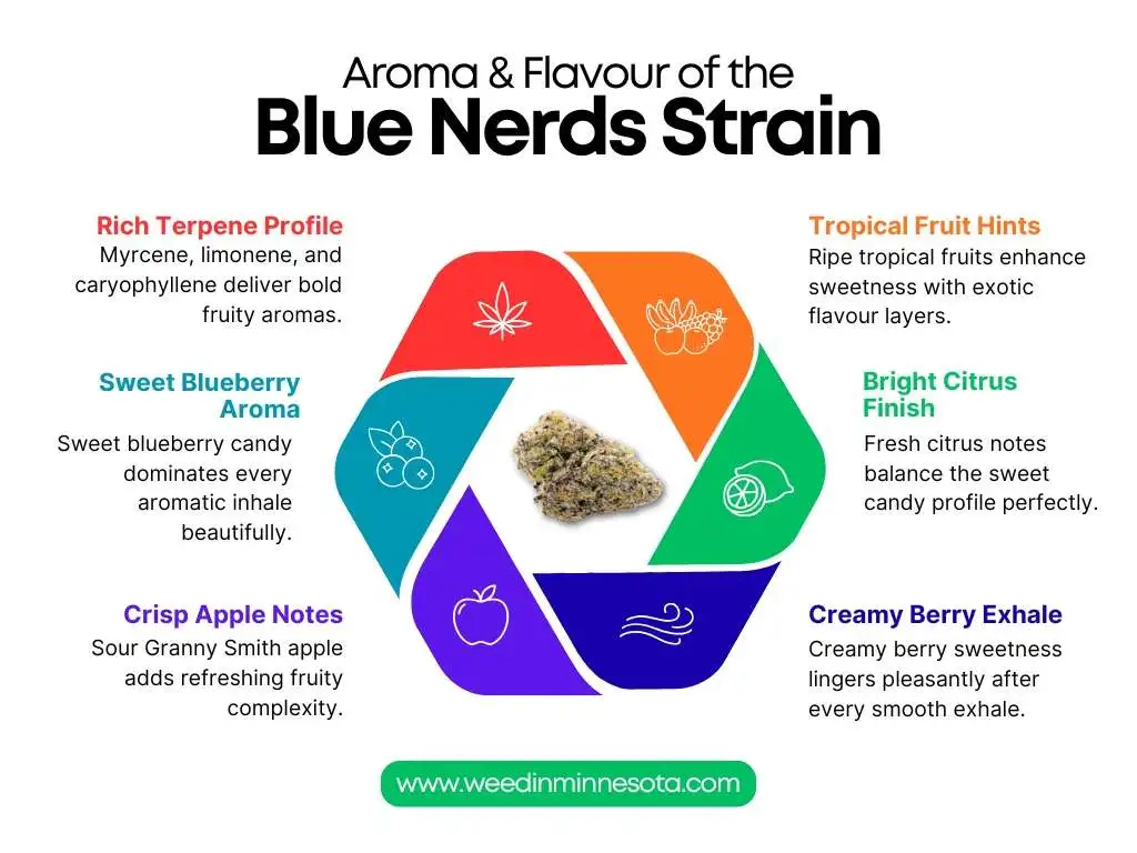 Blue-Nerds-strain-near-me