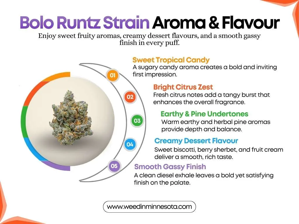 Bolo-Runtz-strain-flavour