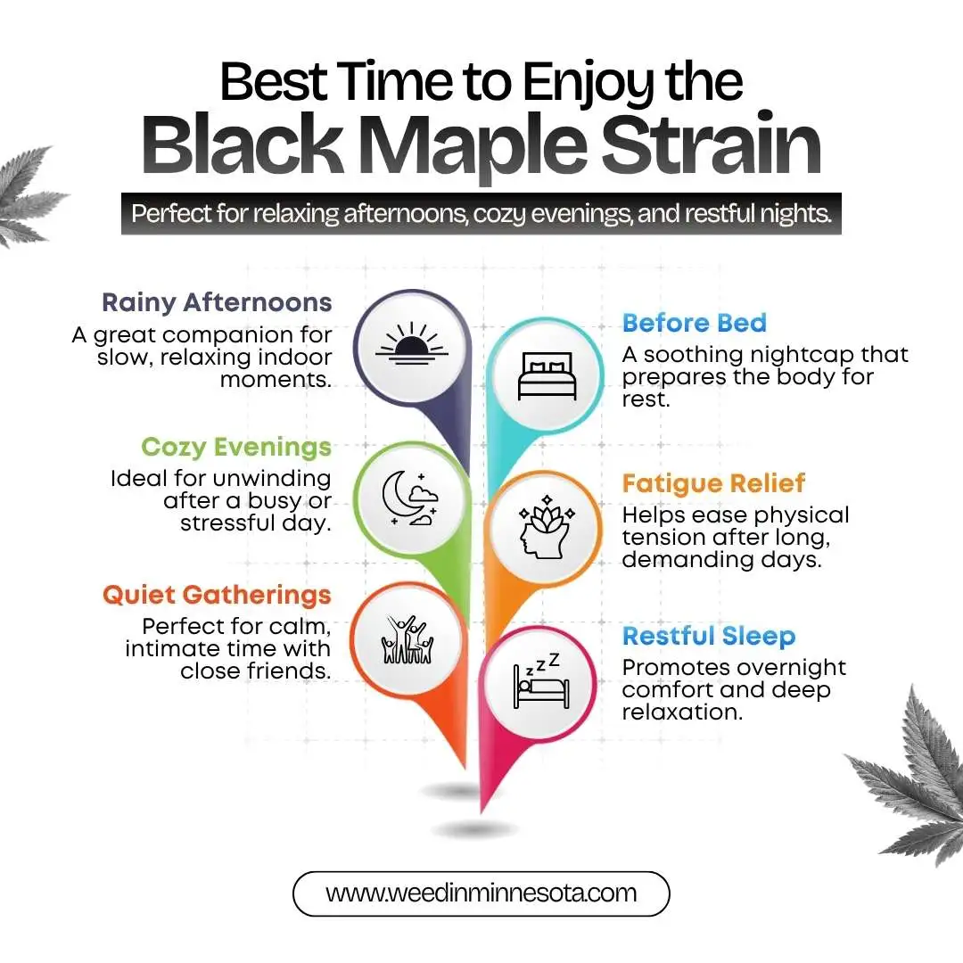 black-maple-strain-effects