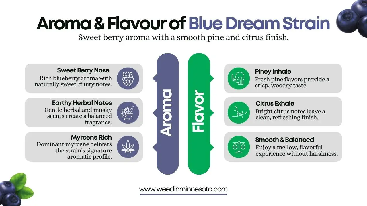 blue-dream-strain