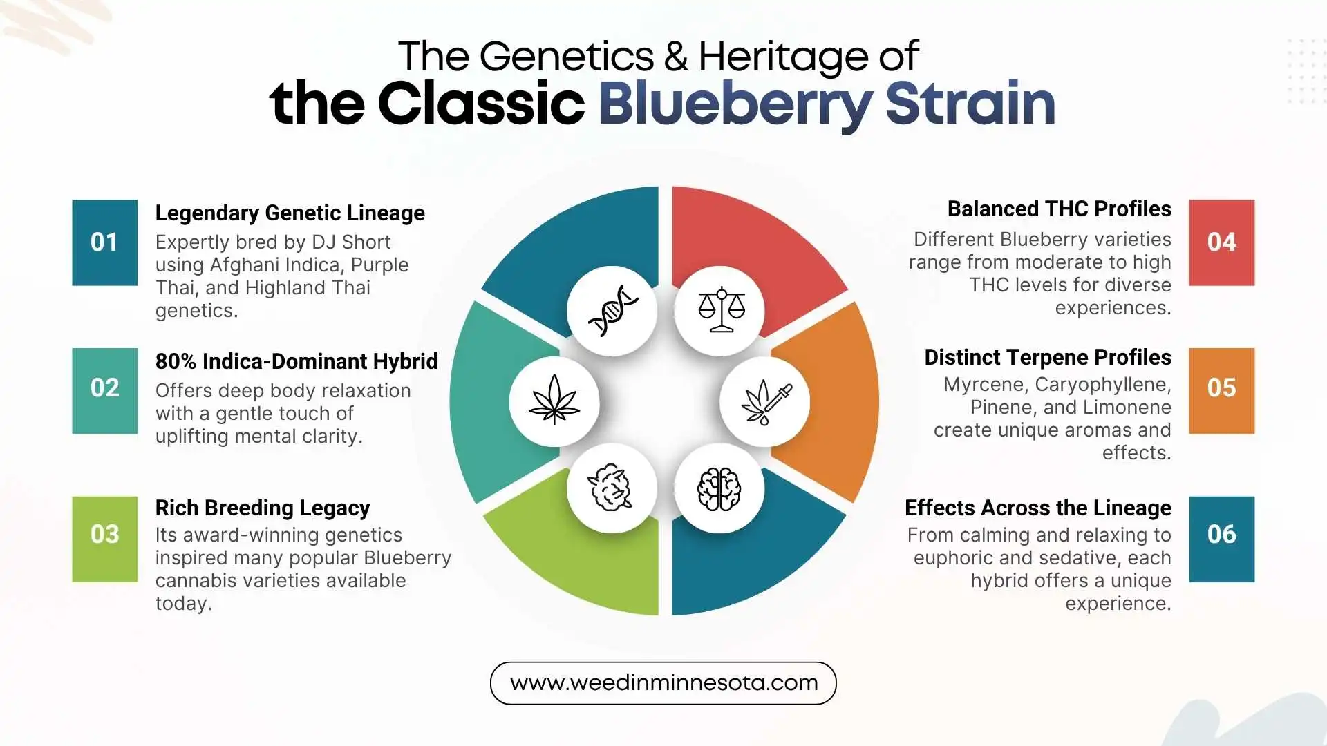 blueberry-strain