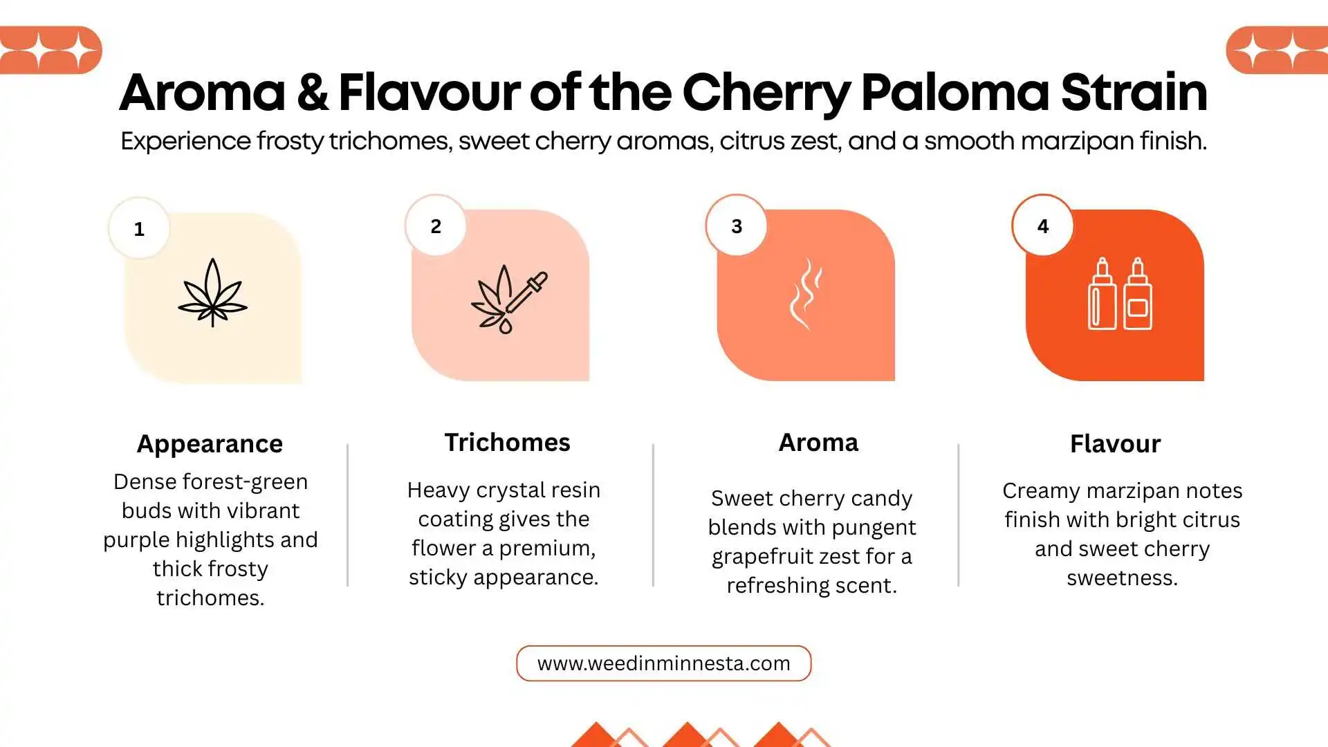 cherry-Paloma-strain