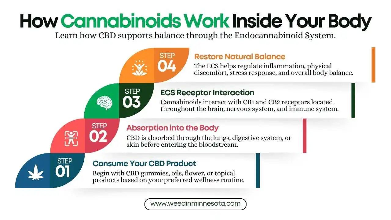 your-CBD-store