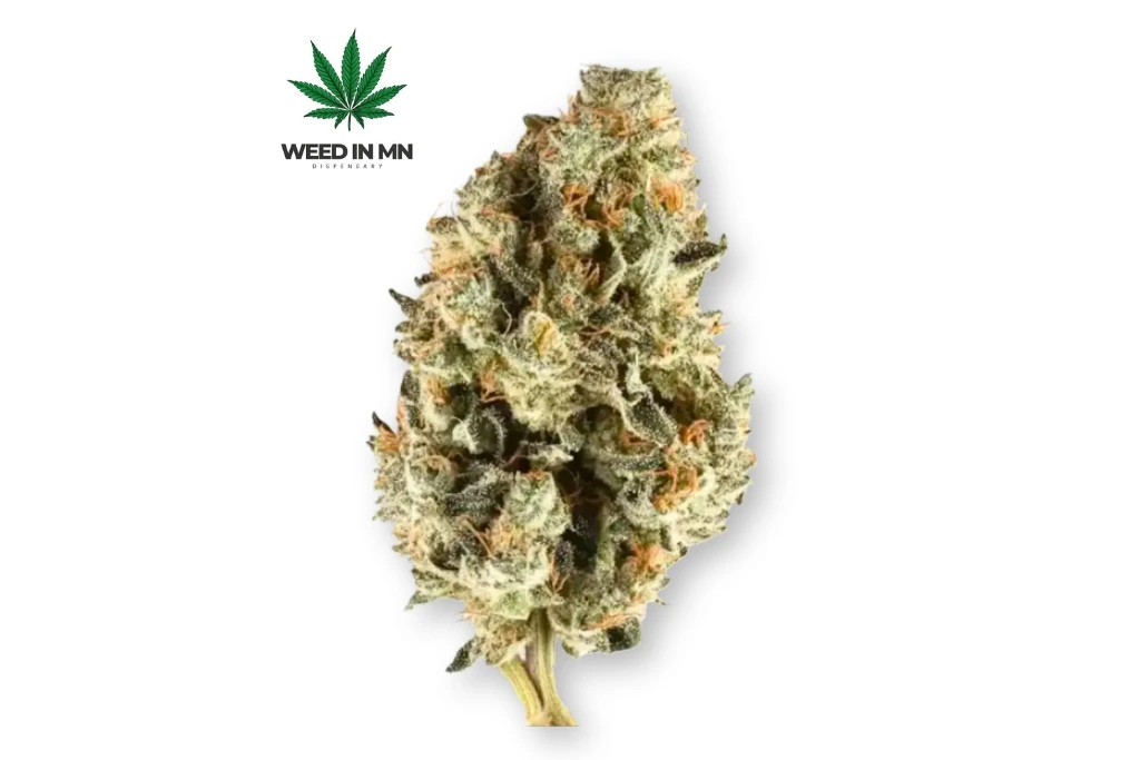 Cherry Pie Gelato strain