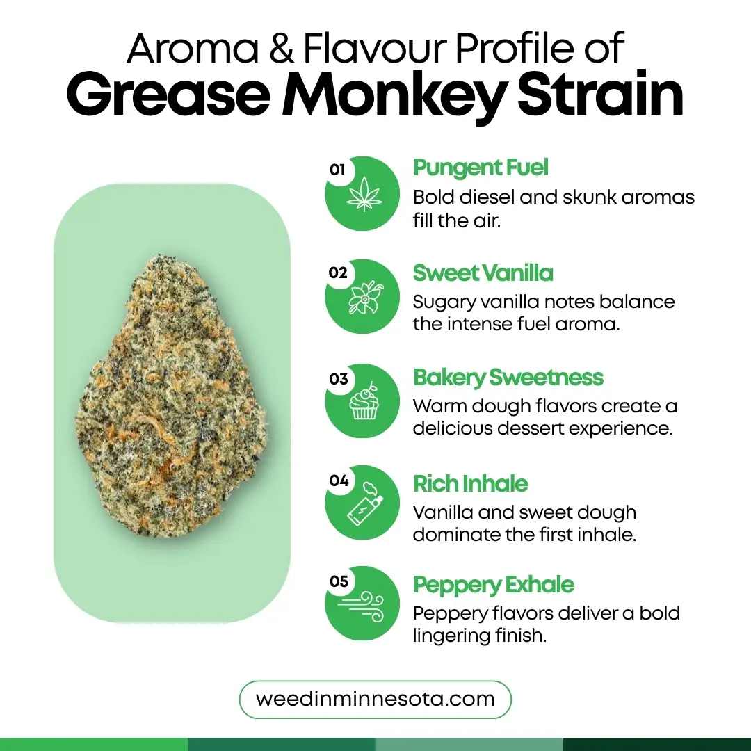 Grease Monkey Strain