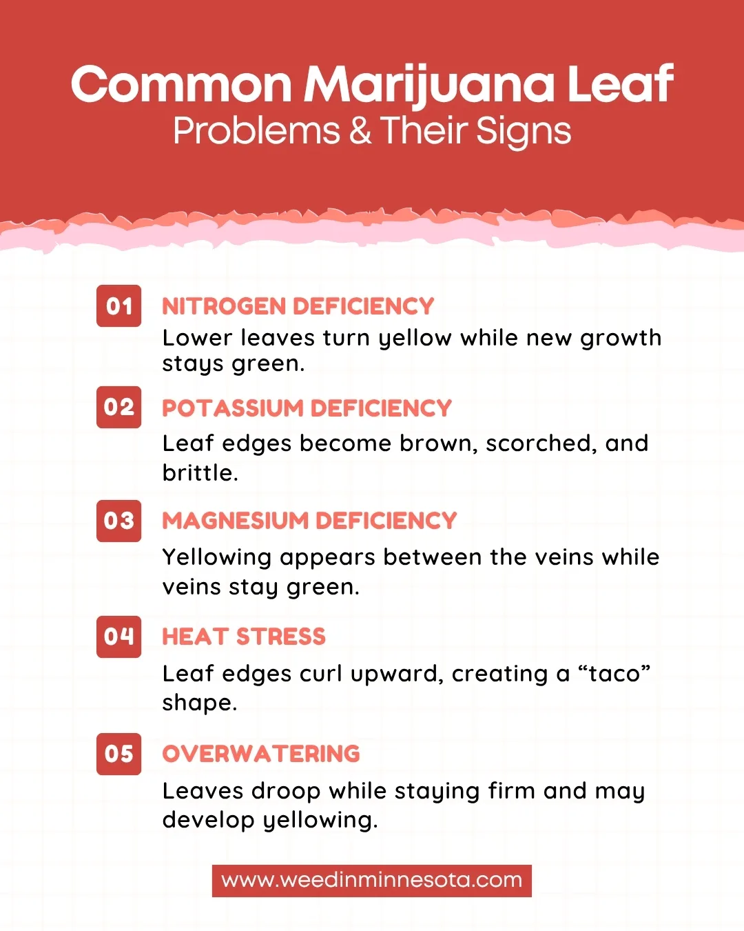 Marijuana Leaf Problems