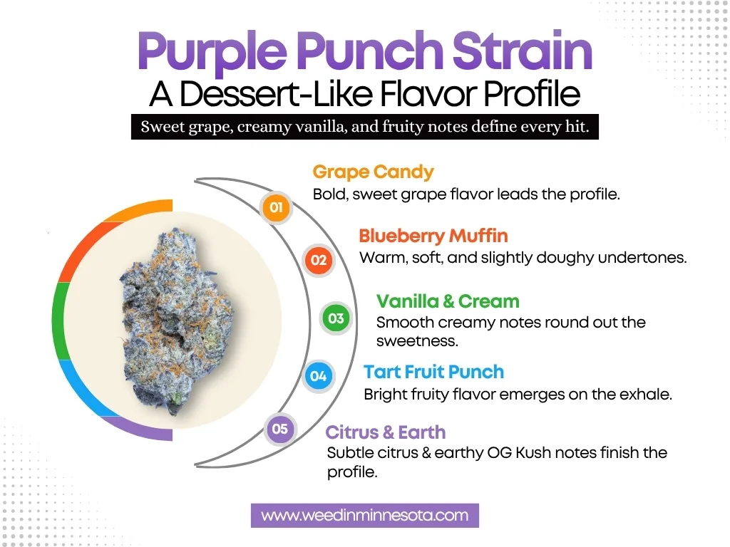 Purple Punch Strain