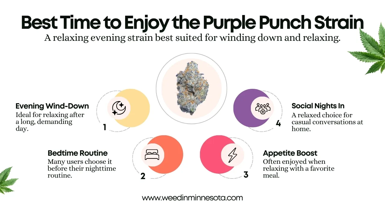 Purple Punch strain review