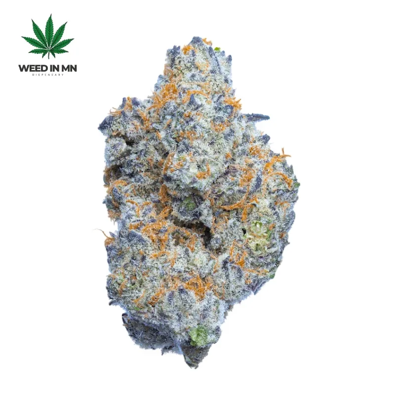 purple punch cannabis strain