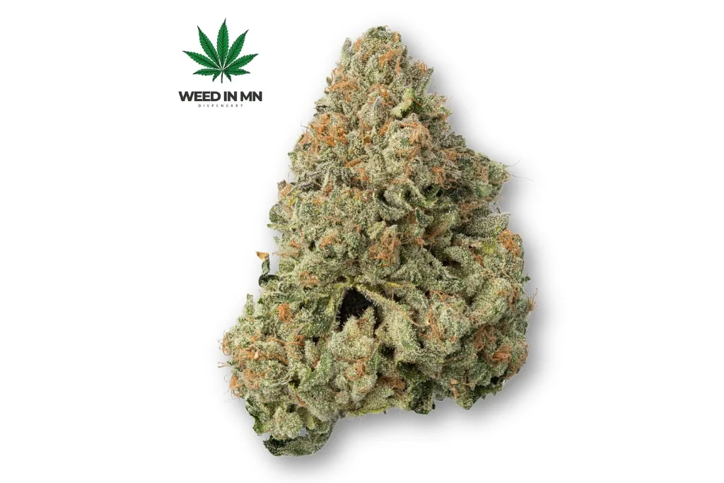 rainbow belt strain