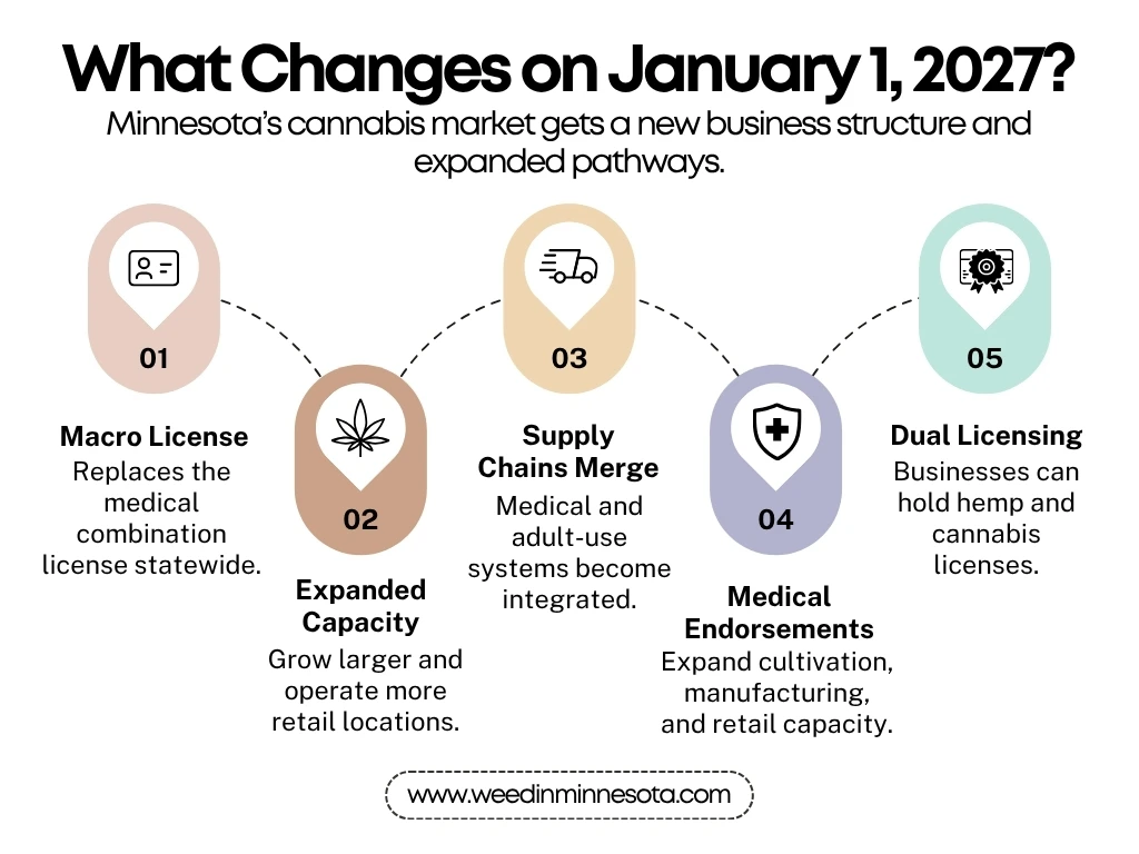 Mn Cannabis license update