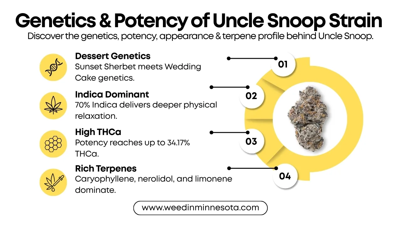 Uncle Snoop Strain