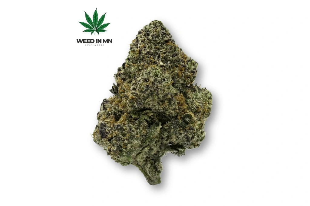 bubblegum gelato